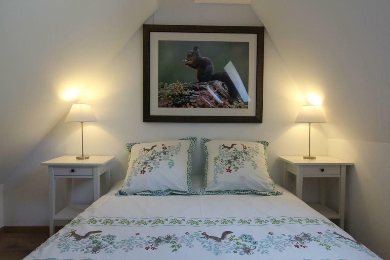 Chambre Chez L'Habitant - L Ecureuil - Coeur De Riquewihr - 2 Personnes Екстериор снимка